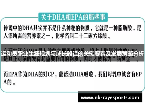 运动员职业生涯规划与成长路径的关键要素及发展策略分析