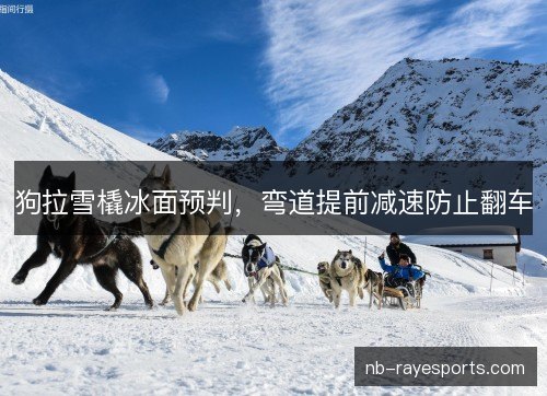 狗拉雪橇冰面预判，弯道提前减速防止翻车